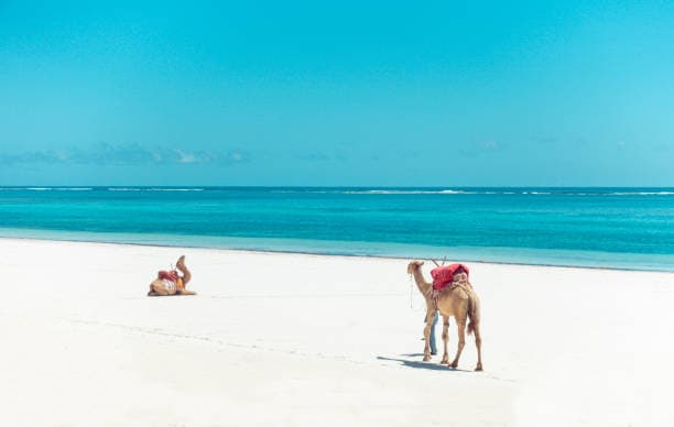 Coastal Escapes